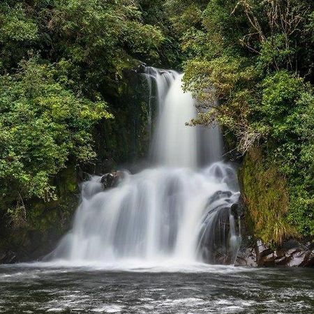 Blackfern Lodge Waimiha Ngoại thất bức ảnh
