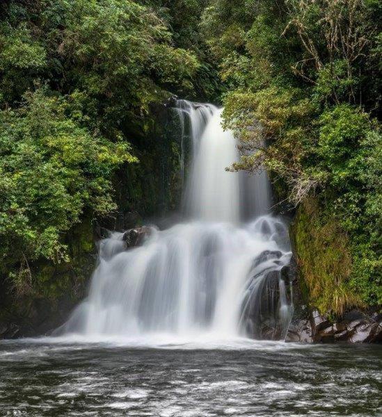 Blackfern Lodge Waimiha Ngoại thất bức ảnh